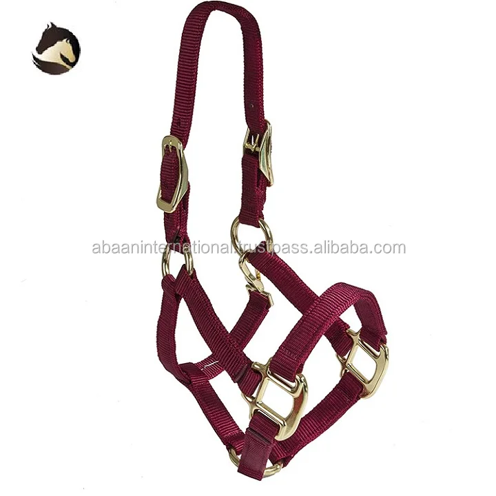 Best Equestrian Horse Nylon Headcollar with Best Quality chrome fittings  Manufacturer In India
