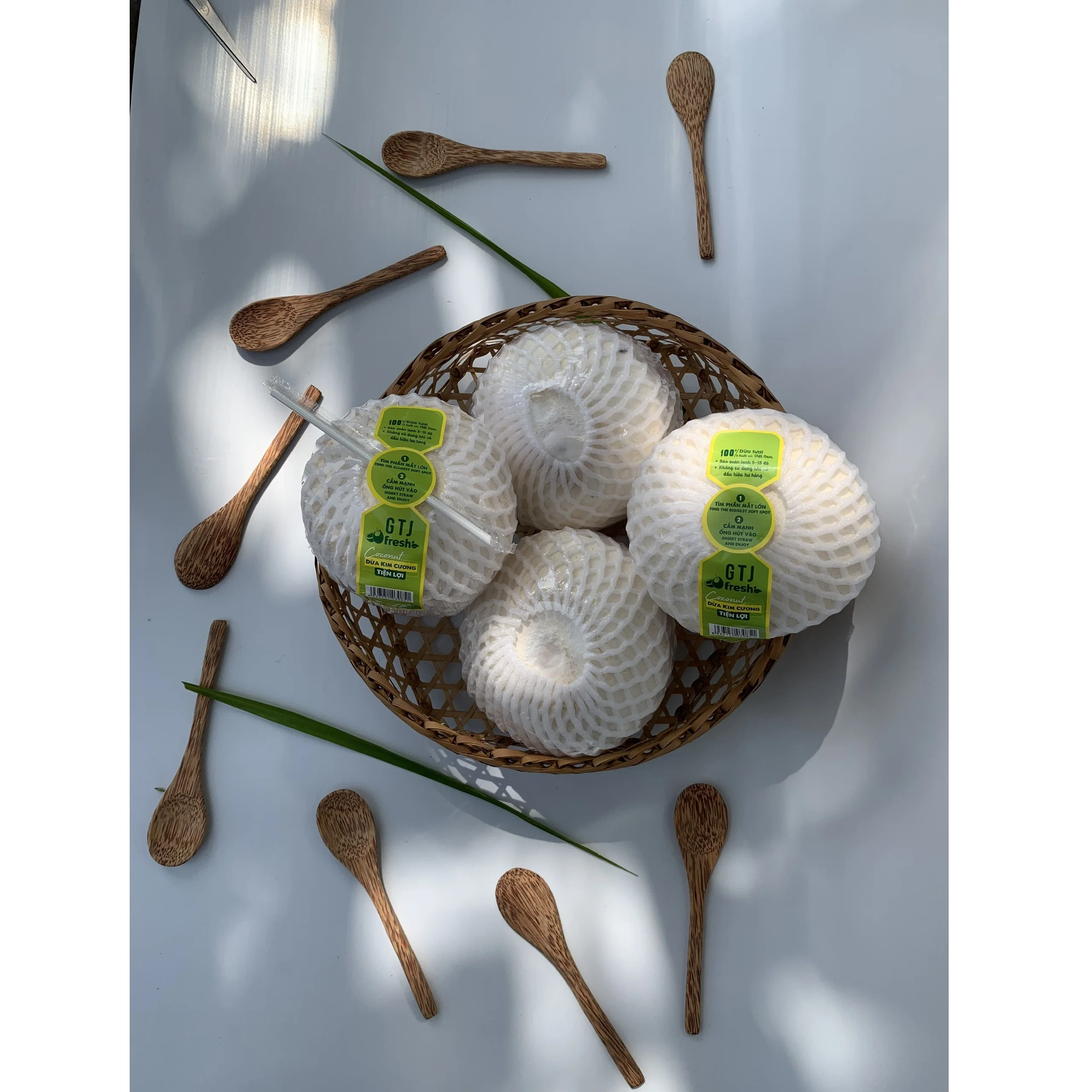 Four Weeks Shell Life Pulp and shell Common Cultivation Type Convenient Diamond Cut Shape Coconut  from Vietnam