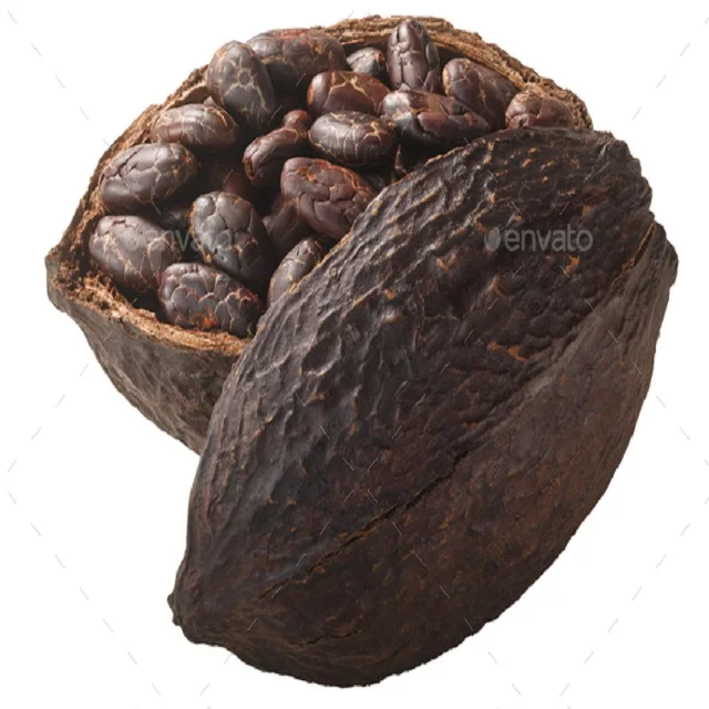 Сушеные на солнце какао бобы, поставщики какао бобов, производители, оптовики