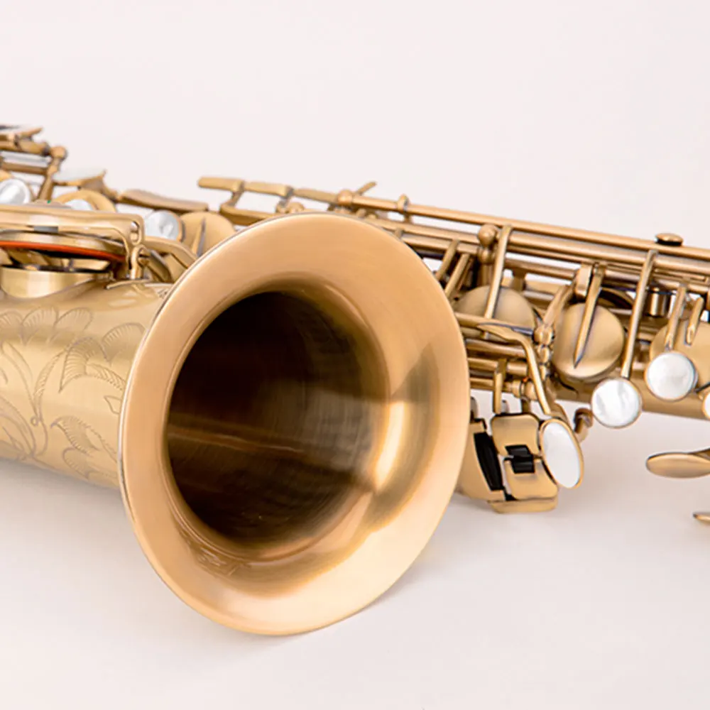 Professional Saxophone  Luxuriant Alto Sax Chateau