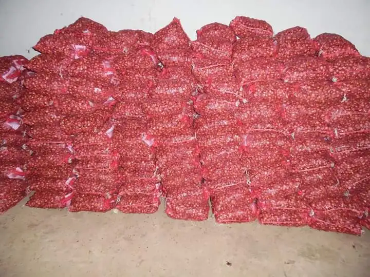 
Fresh red Onion/fresh shallots with top quality in Vietnam_Vikafoods (+84983028718) 