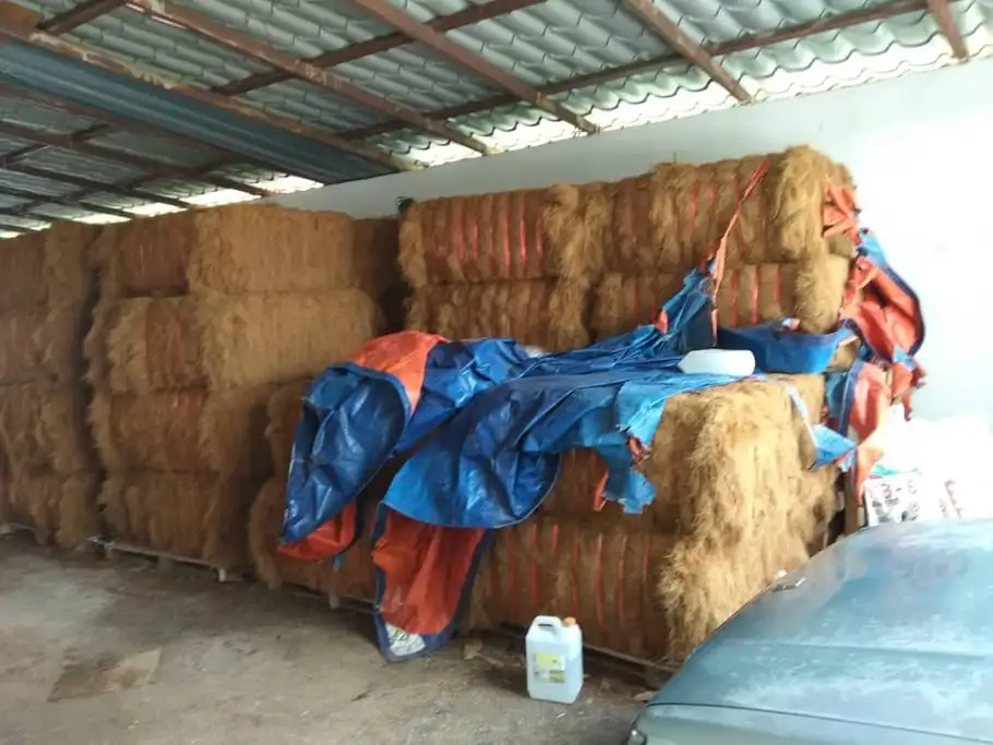
Best Selling Natural Coconut Fibre With 100% From Coconut Coir For Mattress Production 