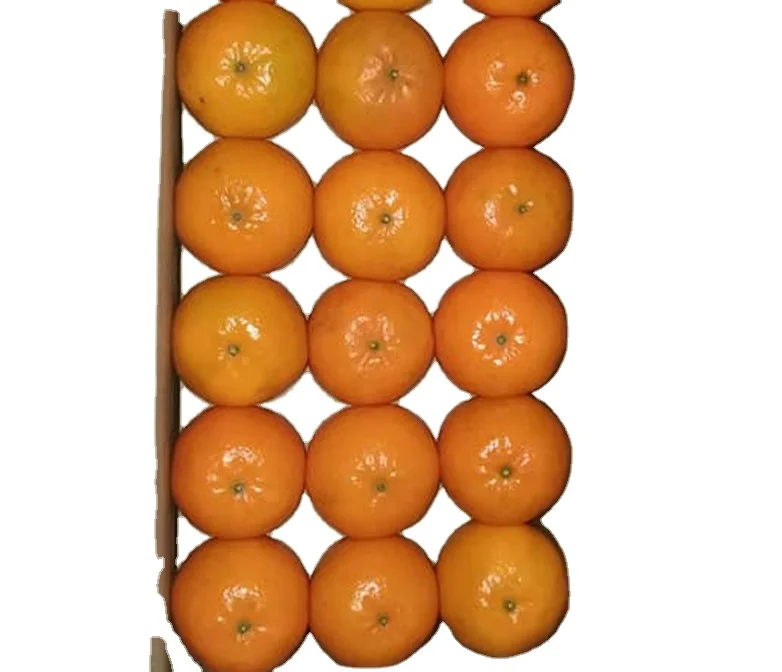 New Fresh Yellow Orange Natural Fresh Orange Fruit, Navel Orange