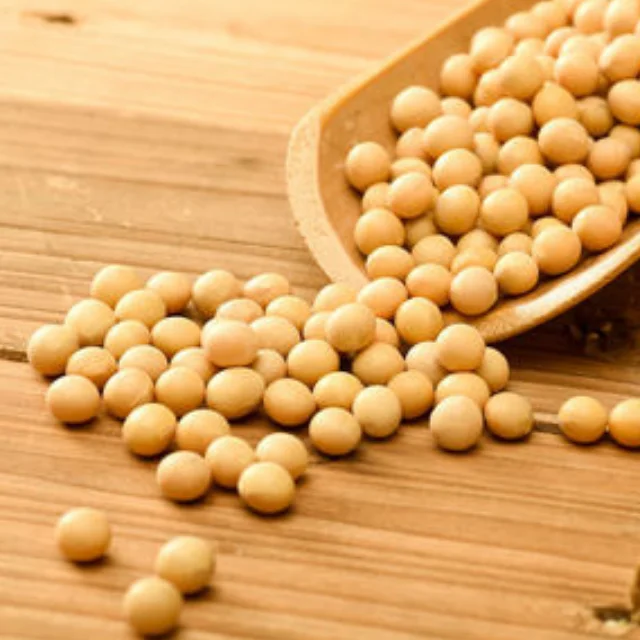 
FRESH CANNED WHITE SOYA BEANS FOR SALE AT WHOLE SALE PRICES 