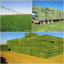  Высококачественный корм для животных из Украины продажи