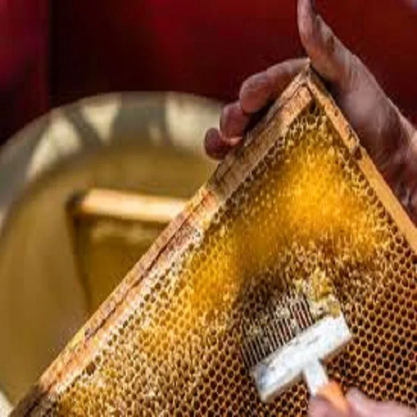 High Quality 5+ 250g  Mature Raw Pure Fresh 100% Natural Bee Products For Sale