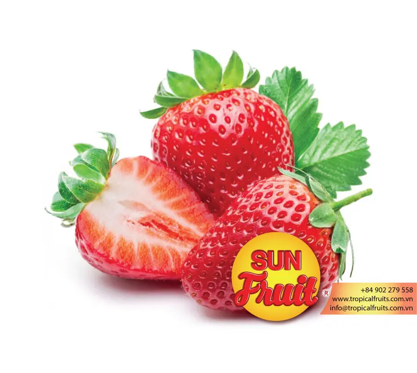
Fresh Wholesale Strawberry 