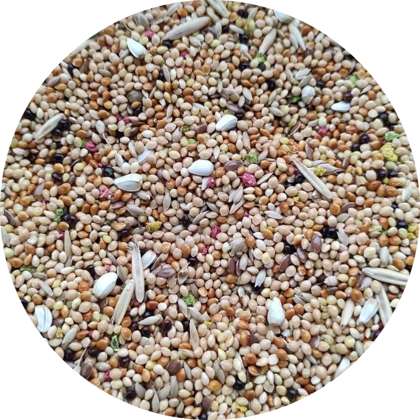 Budgerigar Seed Mix For Birds Supreme Quality Mixture