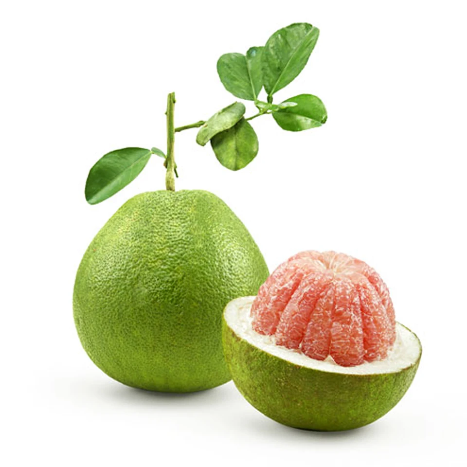 Green Skin Grapefruit Fresh Fruit Nutrition Vitamin Good Price Low MOQ Delicious Hot Selling From Vietnam Brand Custom Packaging