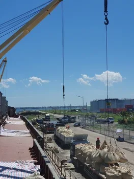 cement portland  42.5 in bag 40 kg