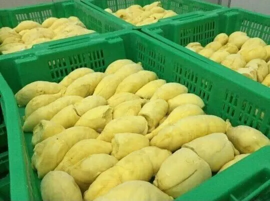 Hot Sale IQF Frozen Fruits - Frozen Durian Flesh From Vietnam