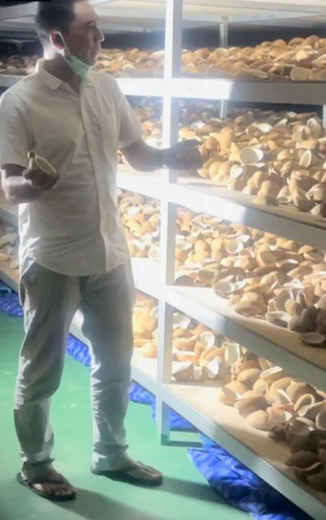 Best Selling Coconut White Copra Edible 4-9 cm Origin Indonesia