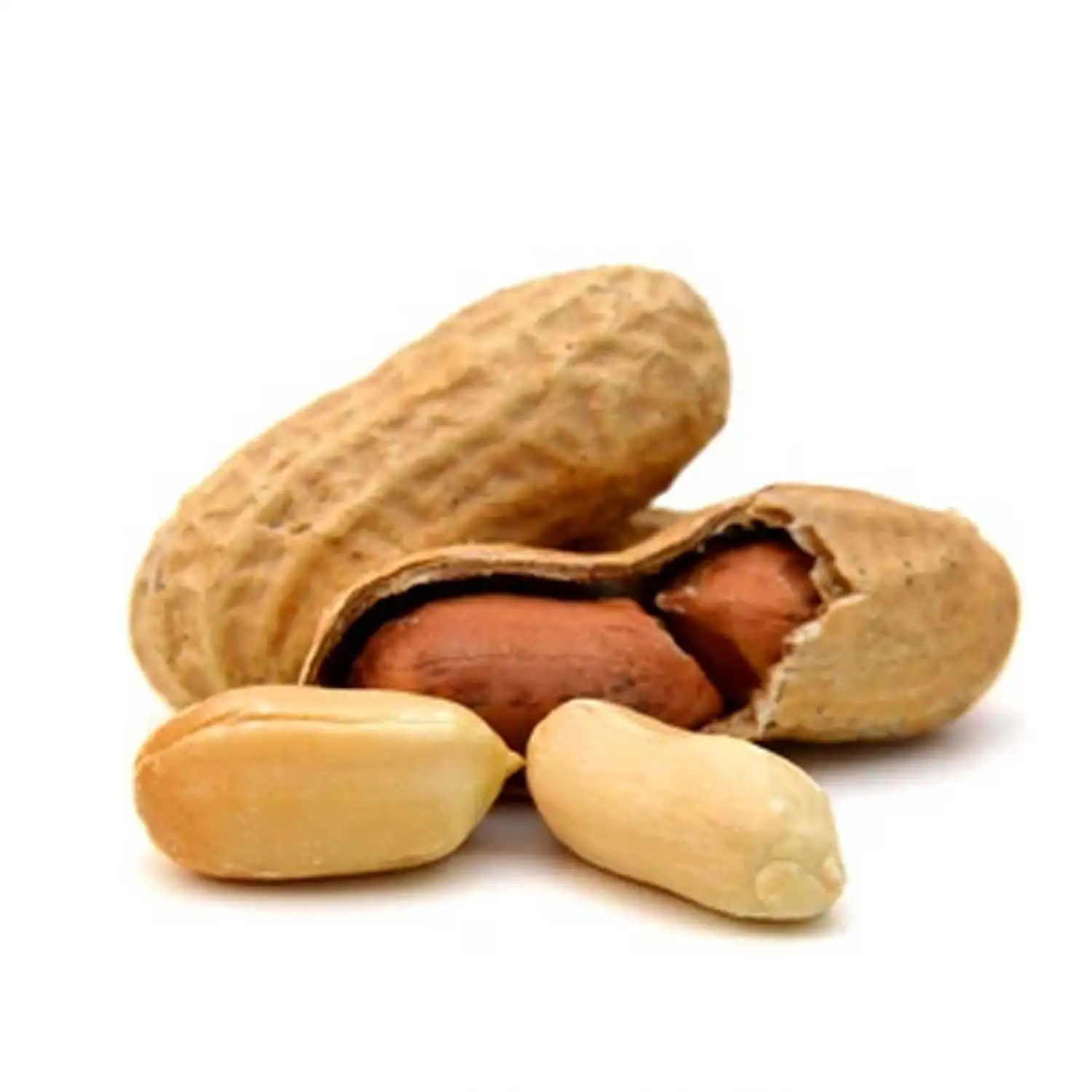 Nutritious Red Skin Peanut  Red Skin Top Grade Peanuts