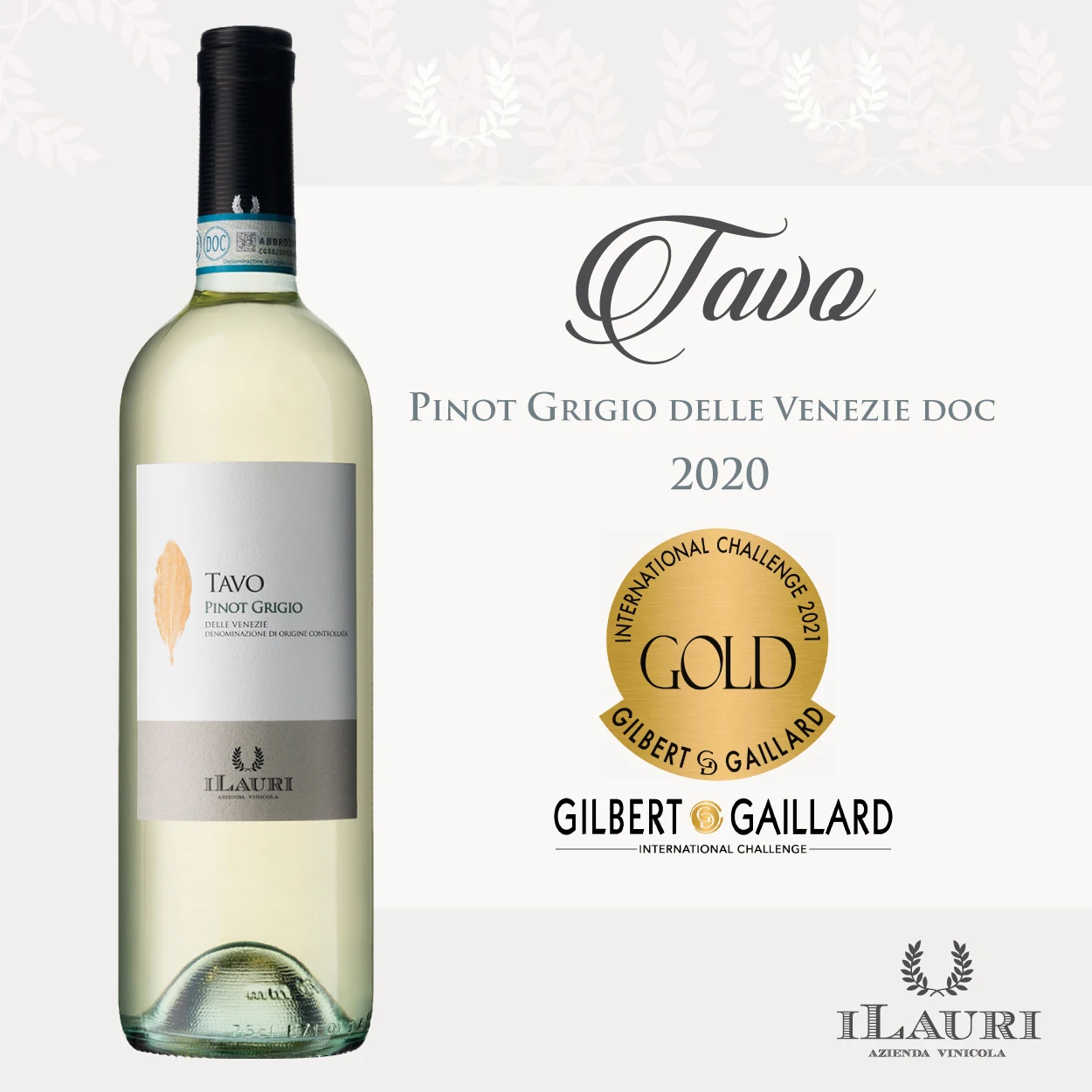 
Top Quality Italian White Wine - ILAURI TAVO Pinot Grigio Delle Venezie DOC (12% vol.) - 75cl 