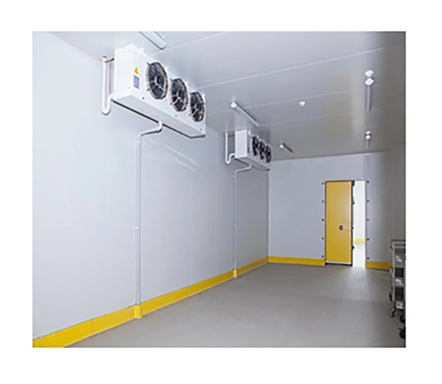 Hot Selling Cold Room  Walk in Freezer Walk in Cooler Walk in Chiller Cold Storage for Meat