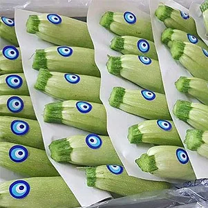 Green Squash    White Zucchini