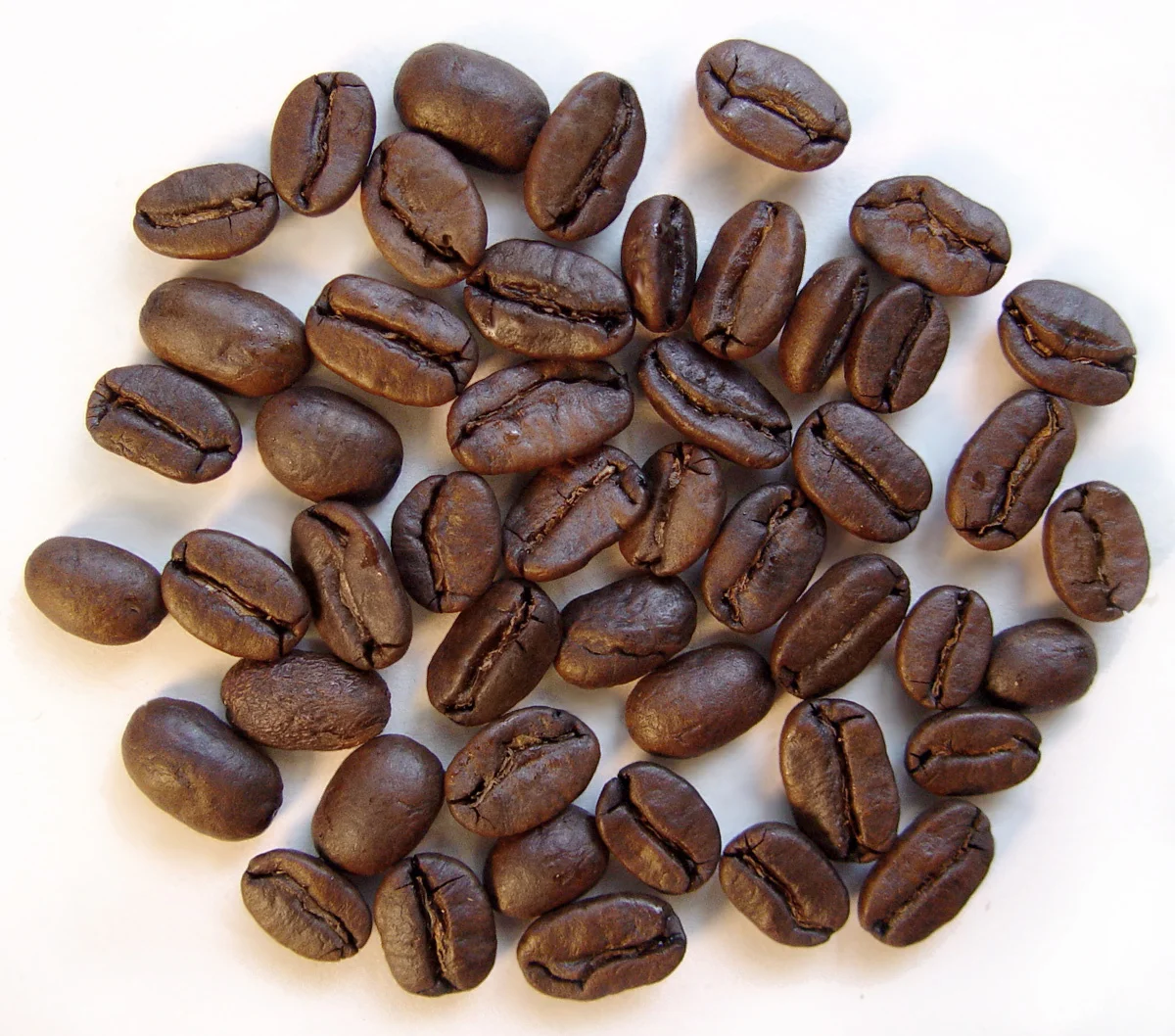 Good Price High Quality Arabica Coffee Bean From Vietnam