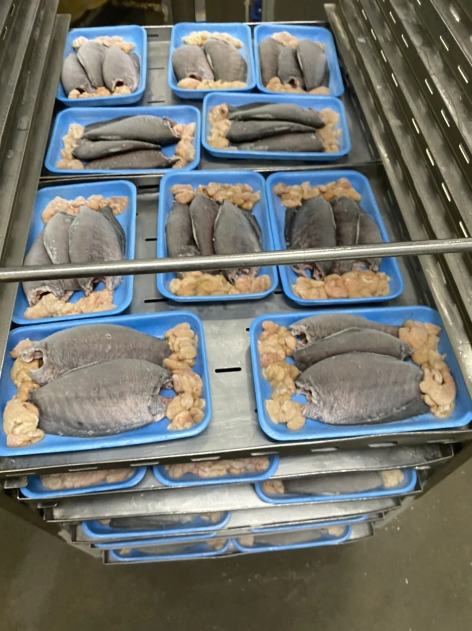 High Quality Frozen Tilapia WR Size 200/300 300/500g Best Fresh Whole Round Frozen Black Tilapia Fish