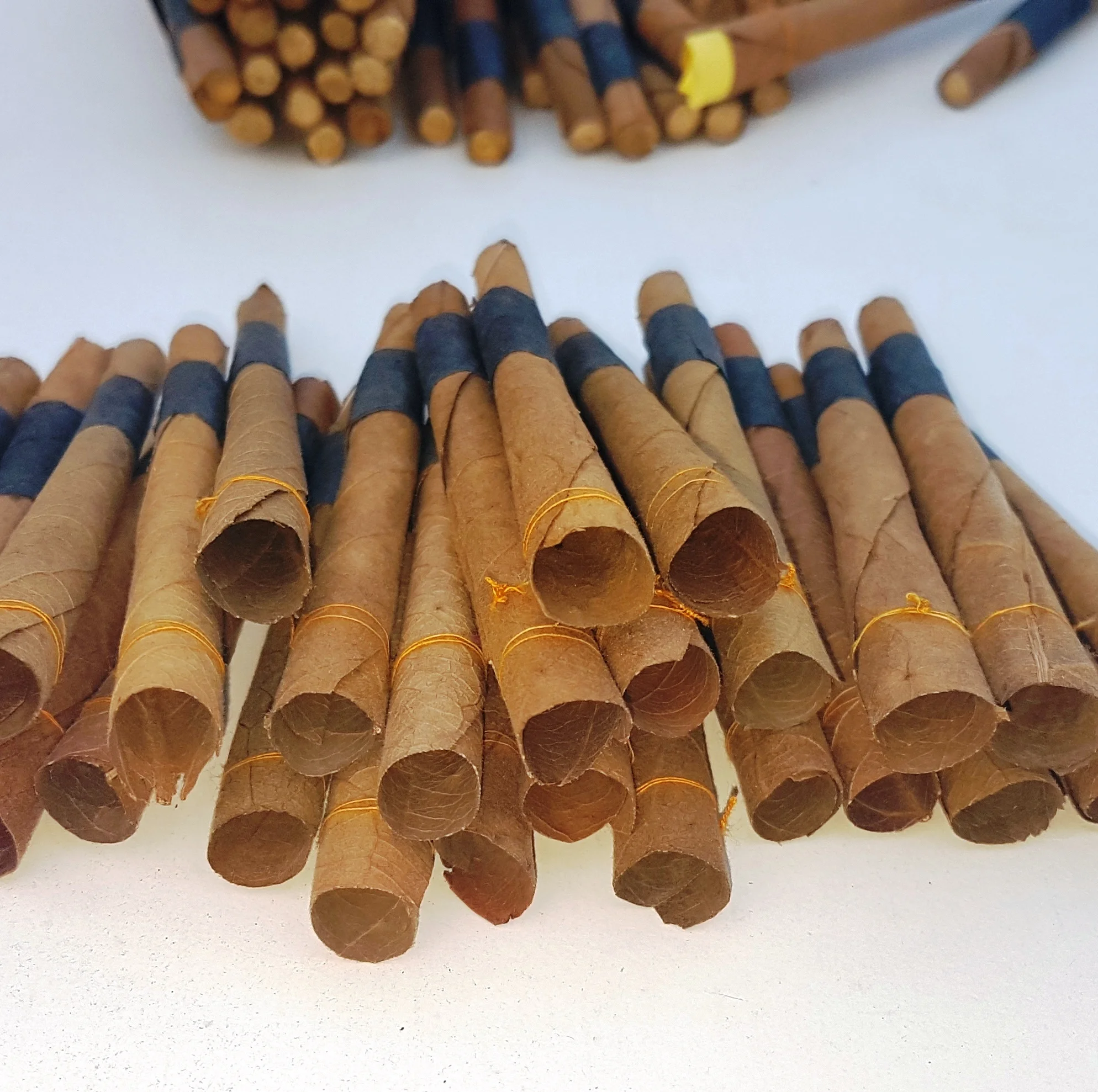 cordia and coromandel rolled leaf OEM