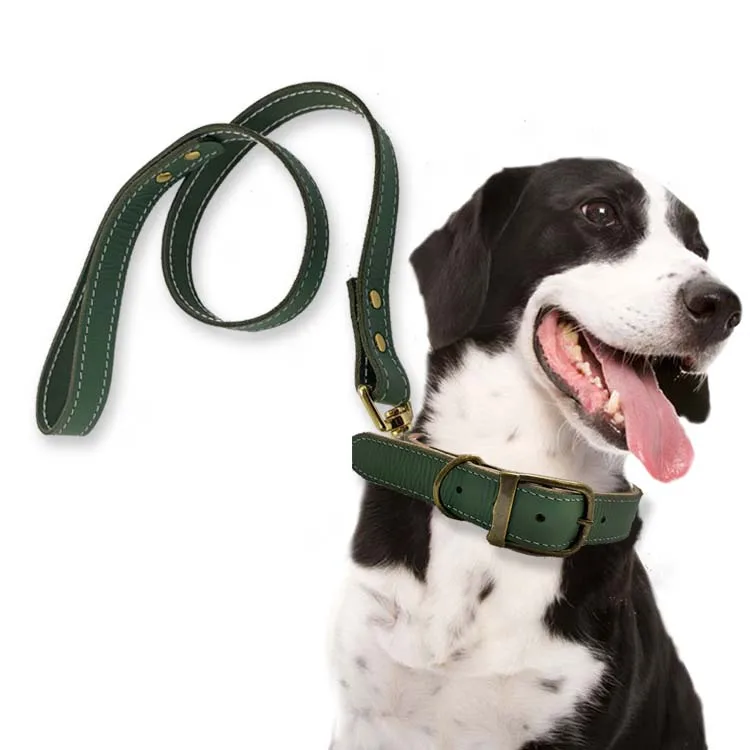 High Quality Multifunctional Rope Genuine Leather Dog Collar and Leash Set for Luxury Pet