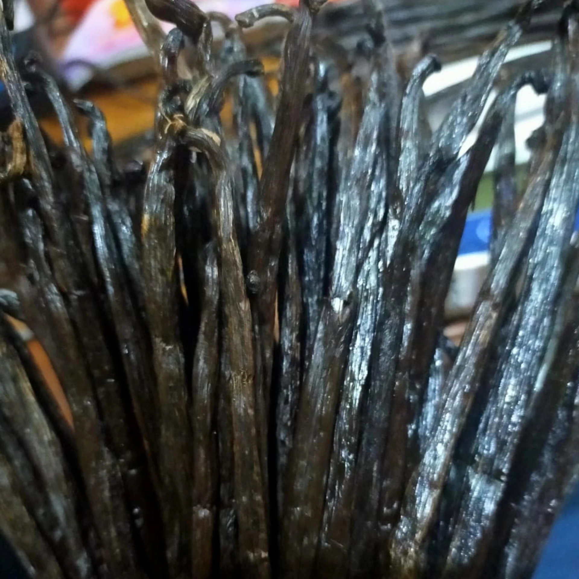 
Export Quality Indonesian Vanilla Beans 