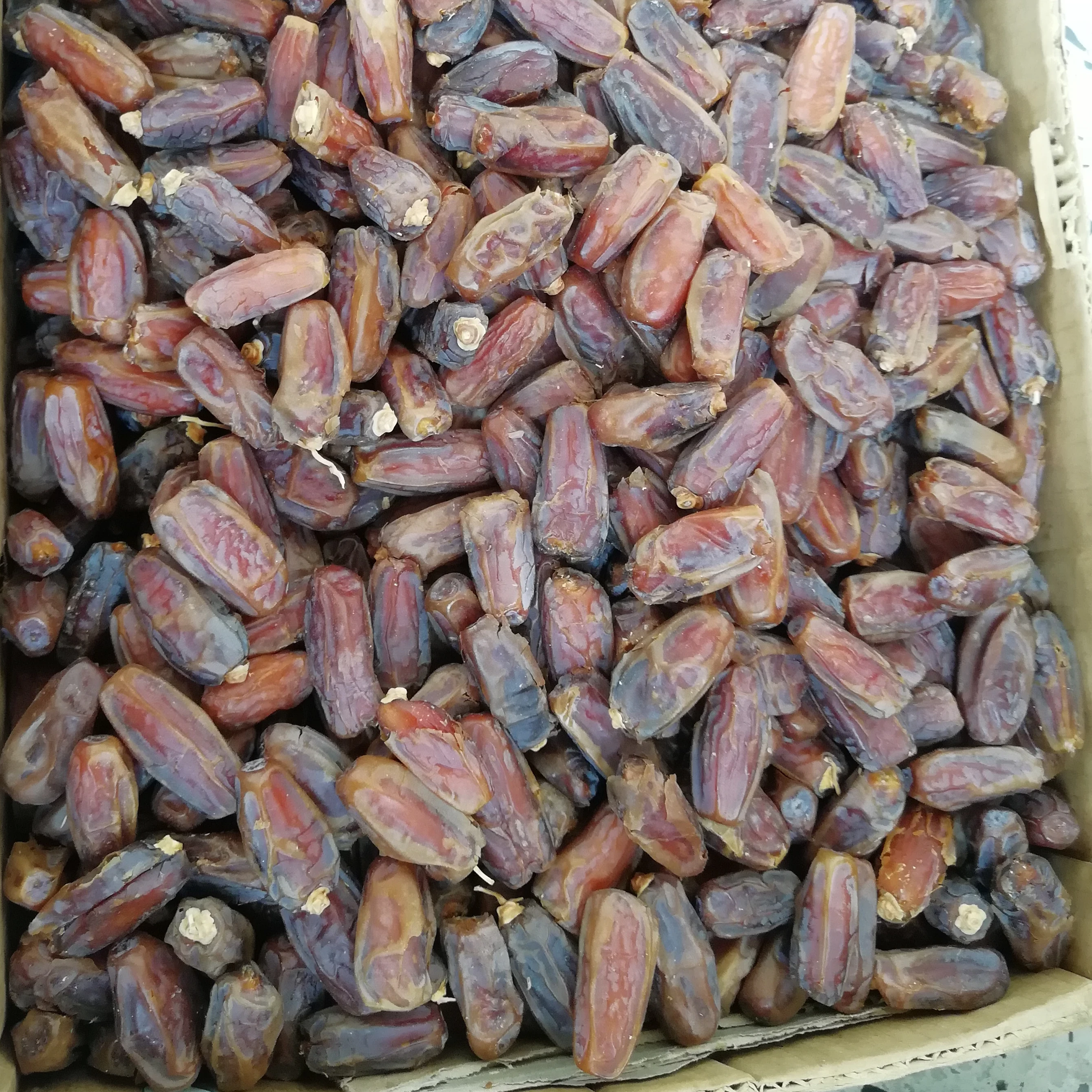 Mashrooq dates new crops coming from almadinah almunawarah  Sweet Style Packing Unit Packaging