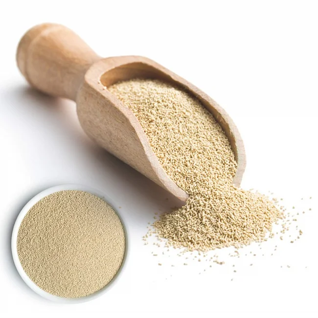 Buy Quality Dry Active Instant YeastFor Sale