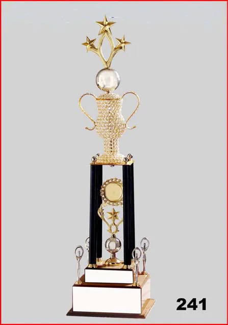 trophy  batsman  for cricket tournament school college
