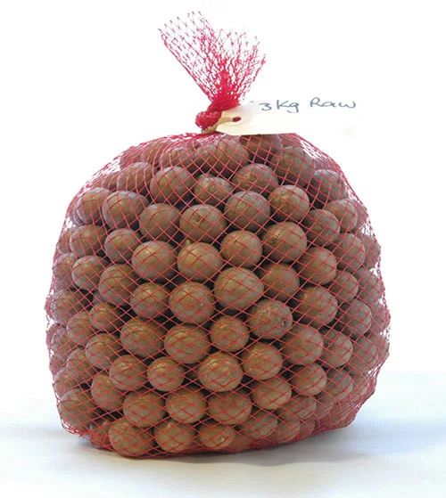 
cheap and competitive price Macadamia Nuts In shell, Kernels/Organic Macadamia Origin Brazil 