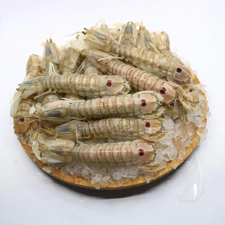 Frozen Mantis Shriimp Indonesian Seafood