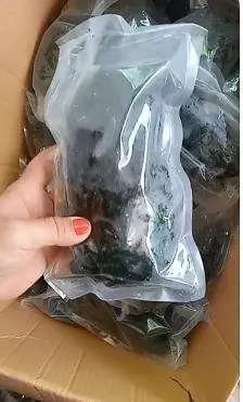 SEA GRAPES - Caulerpa lentillifera VIETNAMESE SEAWEED / Amber