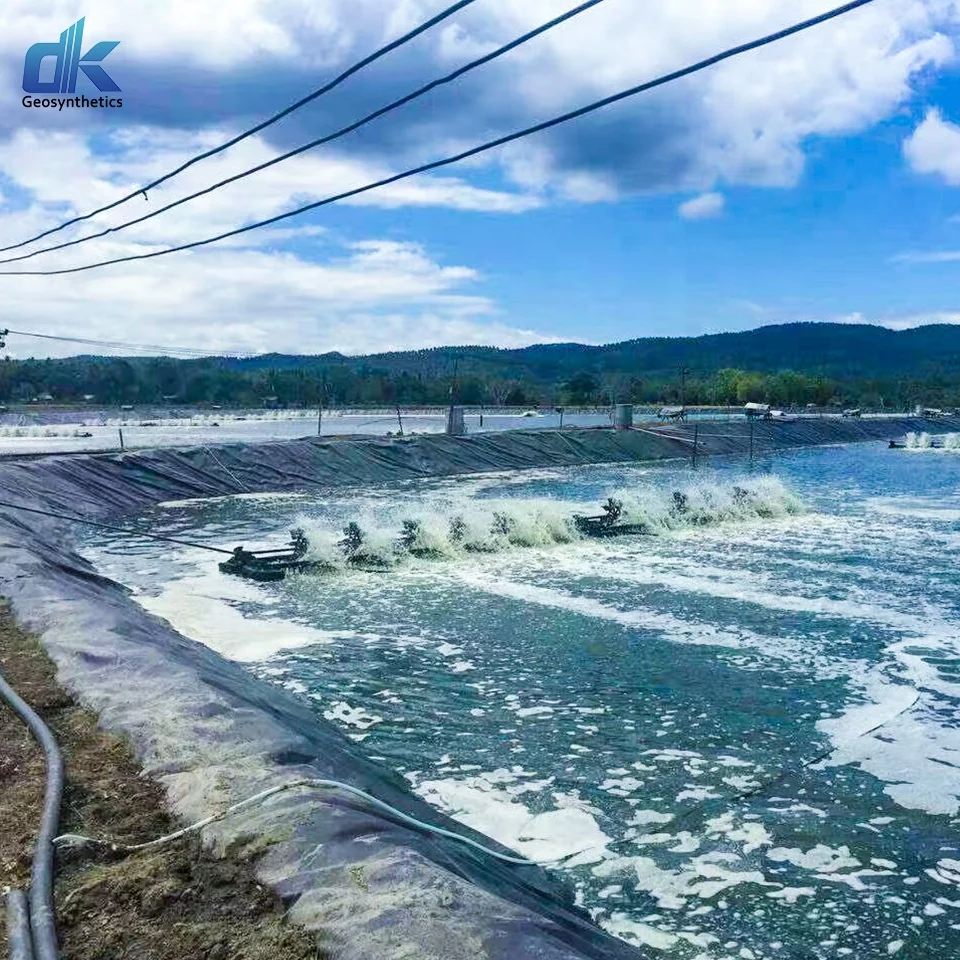 HDPE Black 1.0mm geomembrane 1.5mm 2.0mm landfill mine biodigester liner 0.5mm fish farm shrimp pond liner price