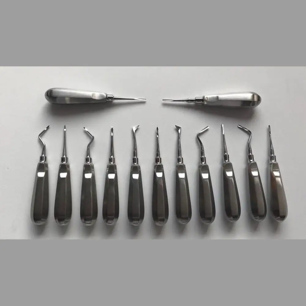 Dental Elevators in Oral Surgery Dental Elevator Root Luxating Curved Straight Cryer Left Right Tip 2mm, 3mm,