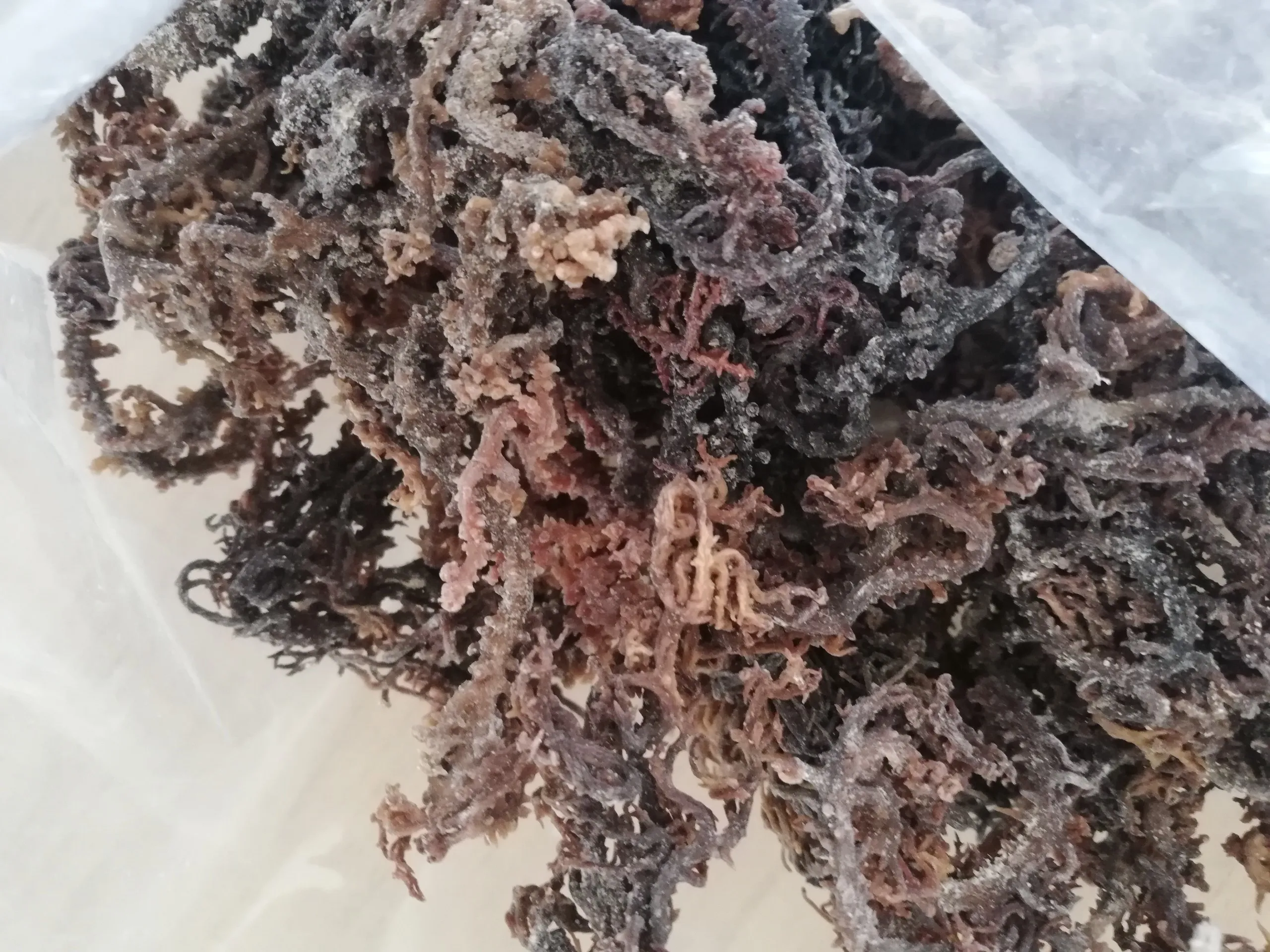 Лучший выбор фиолетовый мох из Вьетнама низкая цена ирландские морские водоросли