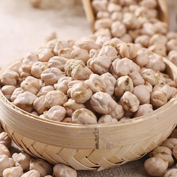 
High Quality White Dried Chickpeas 