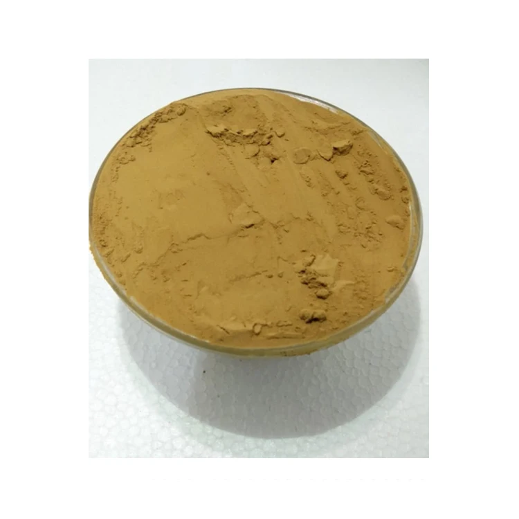 Premium Quality Bulk Sale Best Selling 100% Pure and Organic Silymarin Extract Powder from Indian Manufacturer
