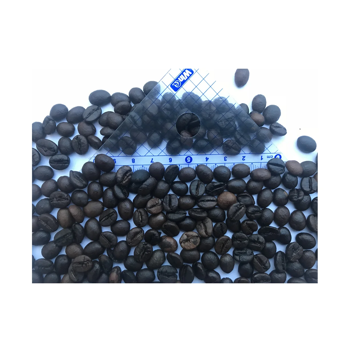 Roasted Robusta Coffee Vietnam Wholesale Suppliers