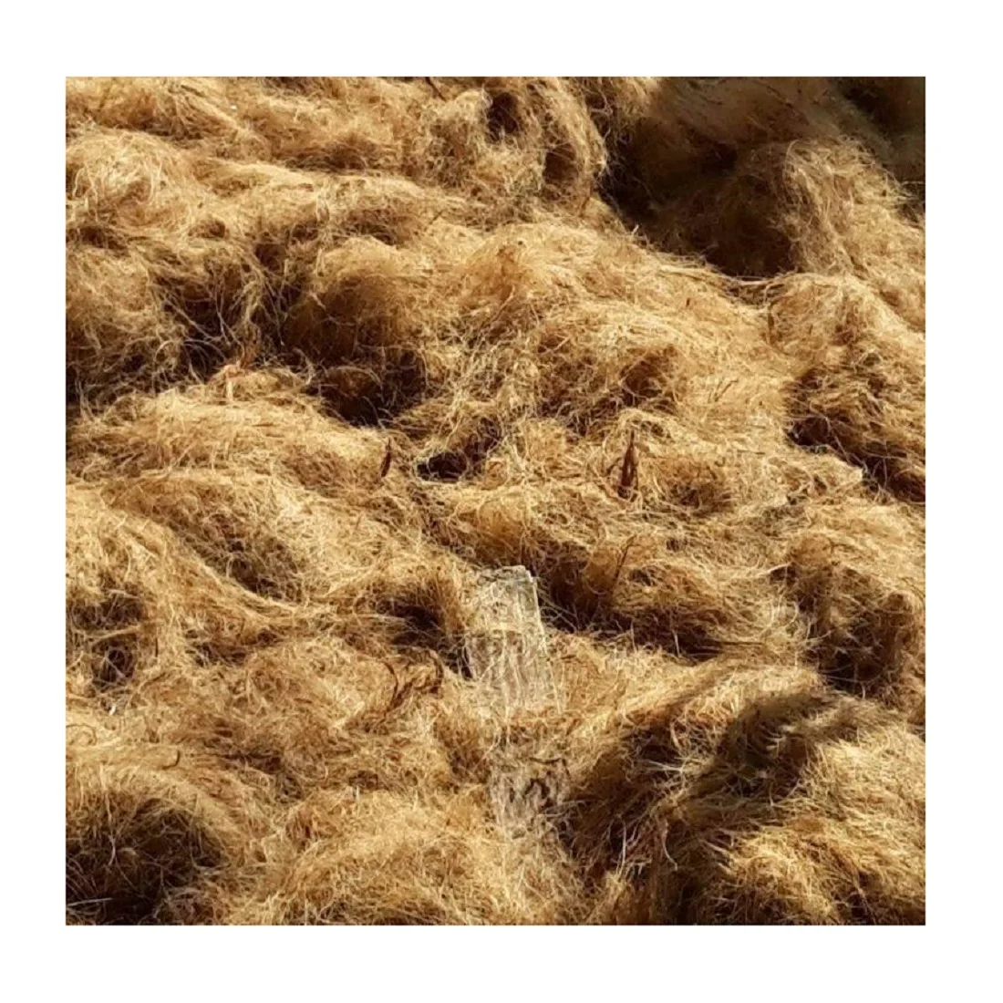 
Лучшая цена, высокое качество, натуральное органическое многоразовое кокосовое волокно длиной от 10 до 25 см 