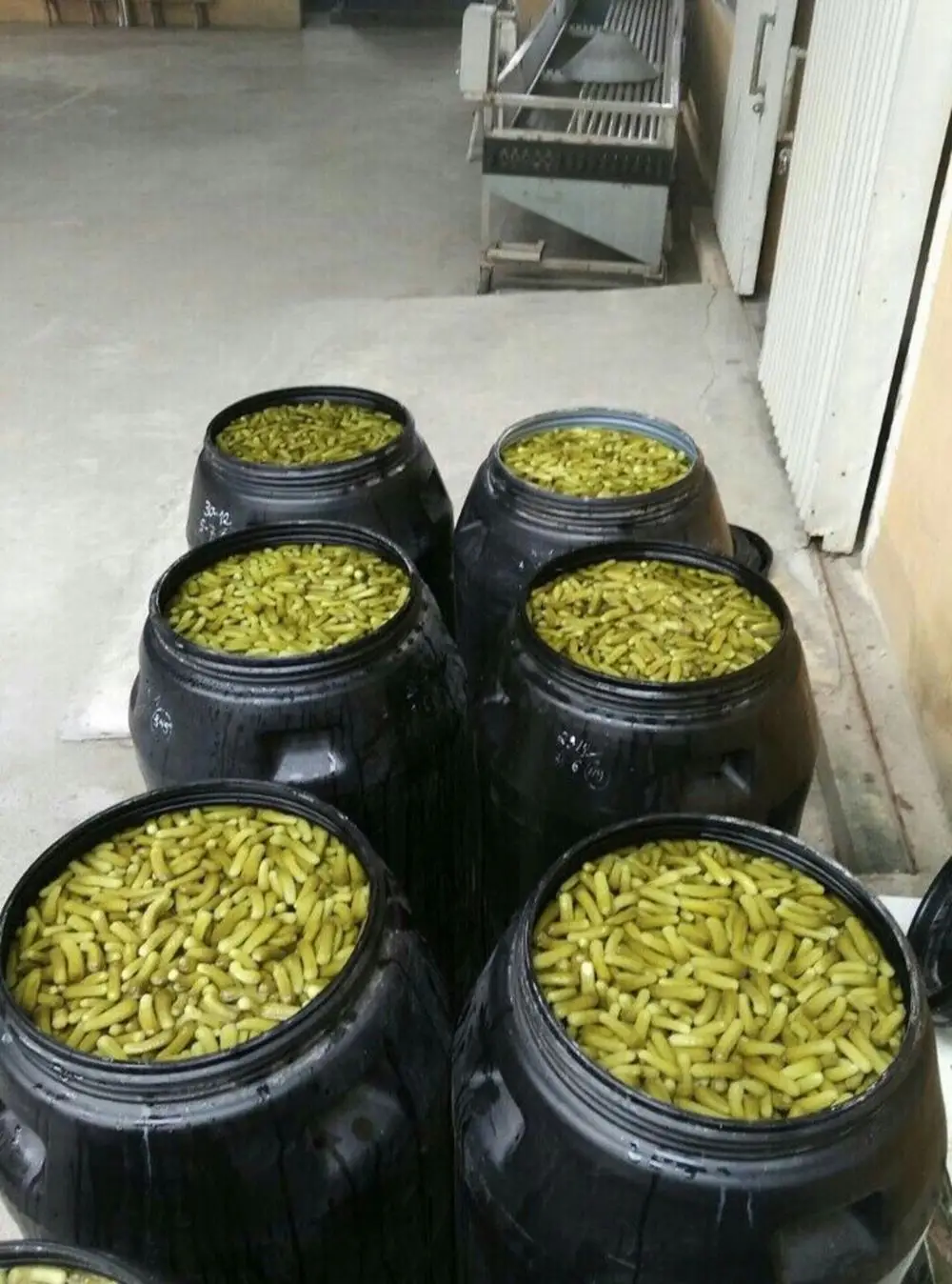 Консервированный соленый детский огурец в стеклянной бутылке от вьетнамского поставщика Лидер