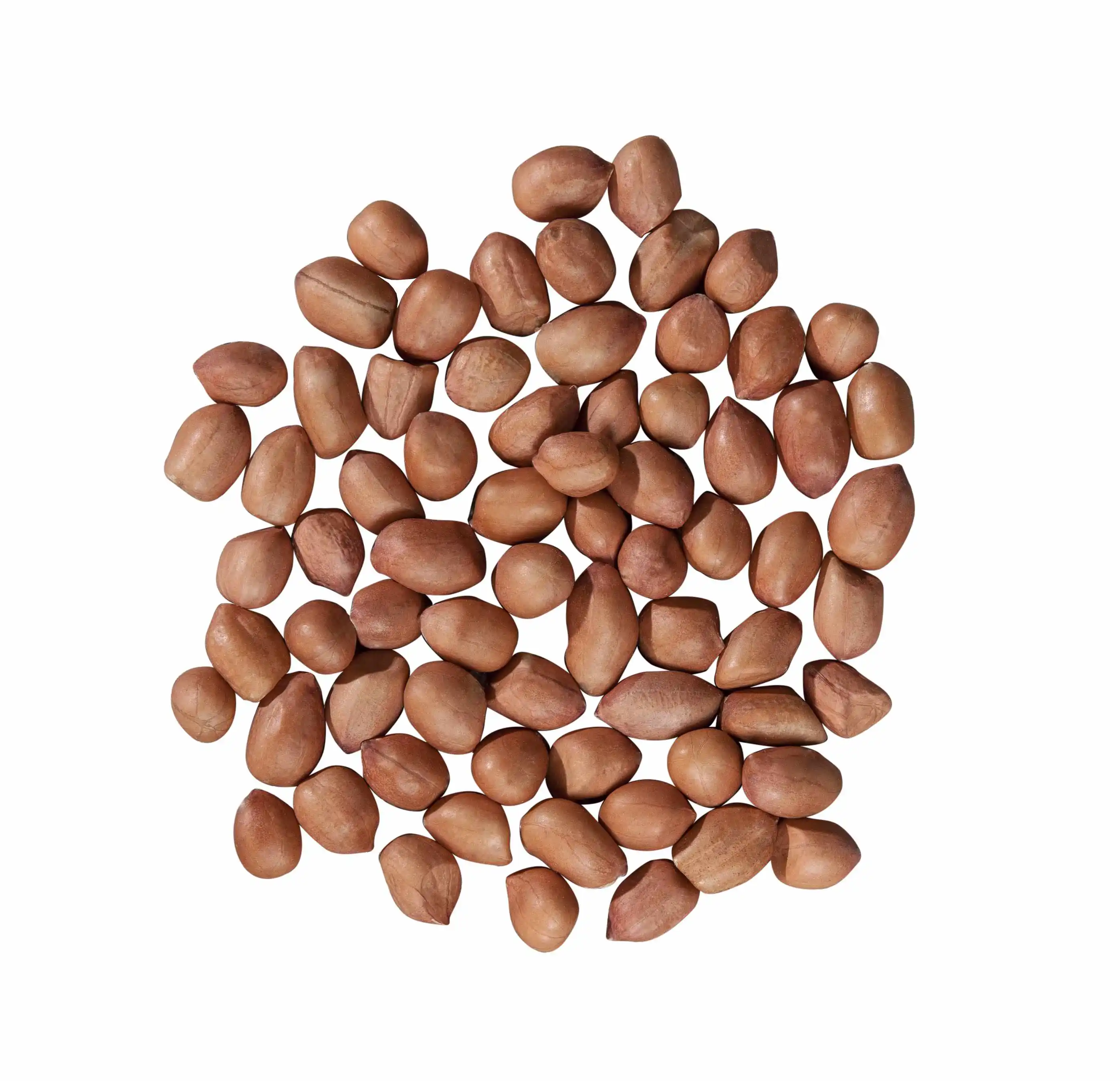 
GROUNDNUT KERNELS BOLD 70/80 FROM NIK-MAY EXPORTS INDIA 