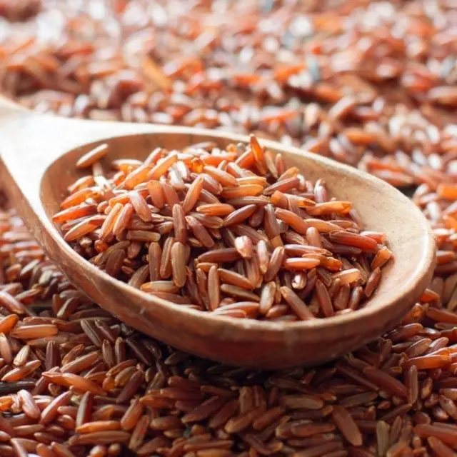 High Quality Red Brown Rice Dragon Blood 5% Broke 14.5% Moisture Wholesale