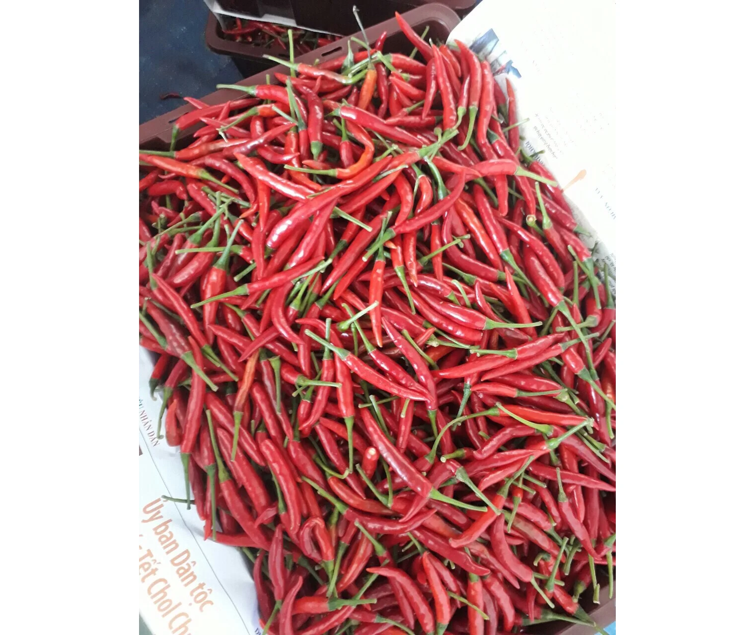 
 Черный чай, православный черный чай OPA, органический свежий чай из Вьетнама  