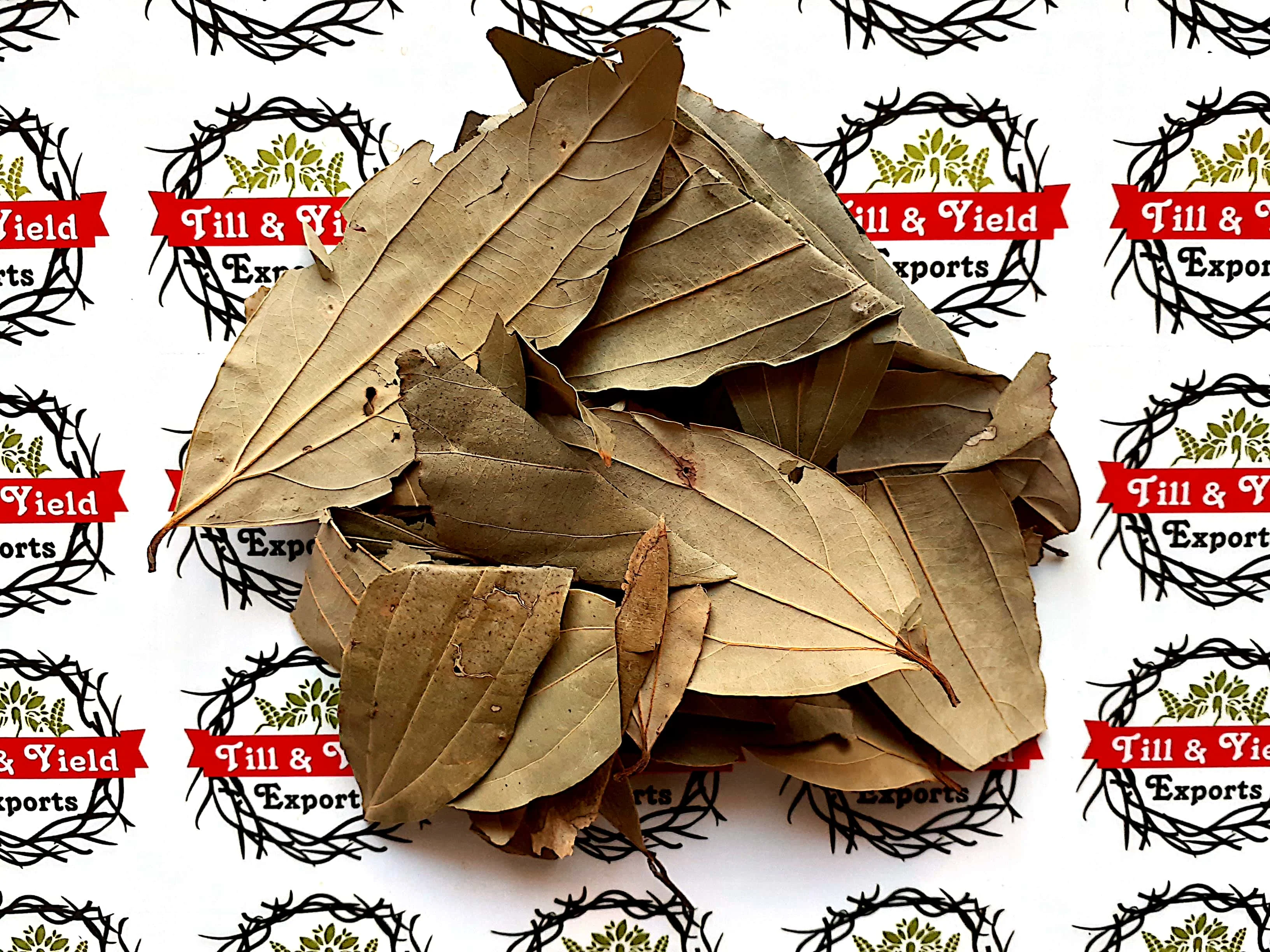 Bay Leaf/Tejpatta Zeylanicum Help Manage High Cholesterol Due To Its Antioxidant And Anti Inflammatory Properties