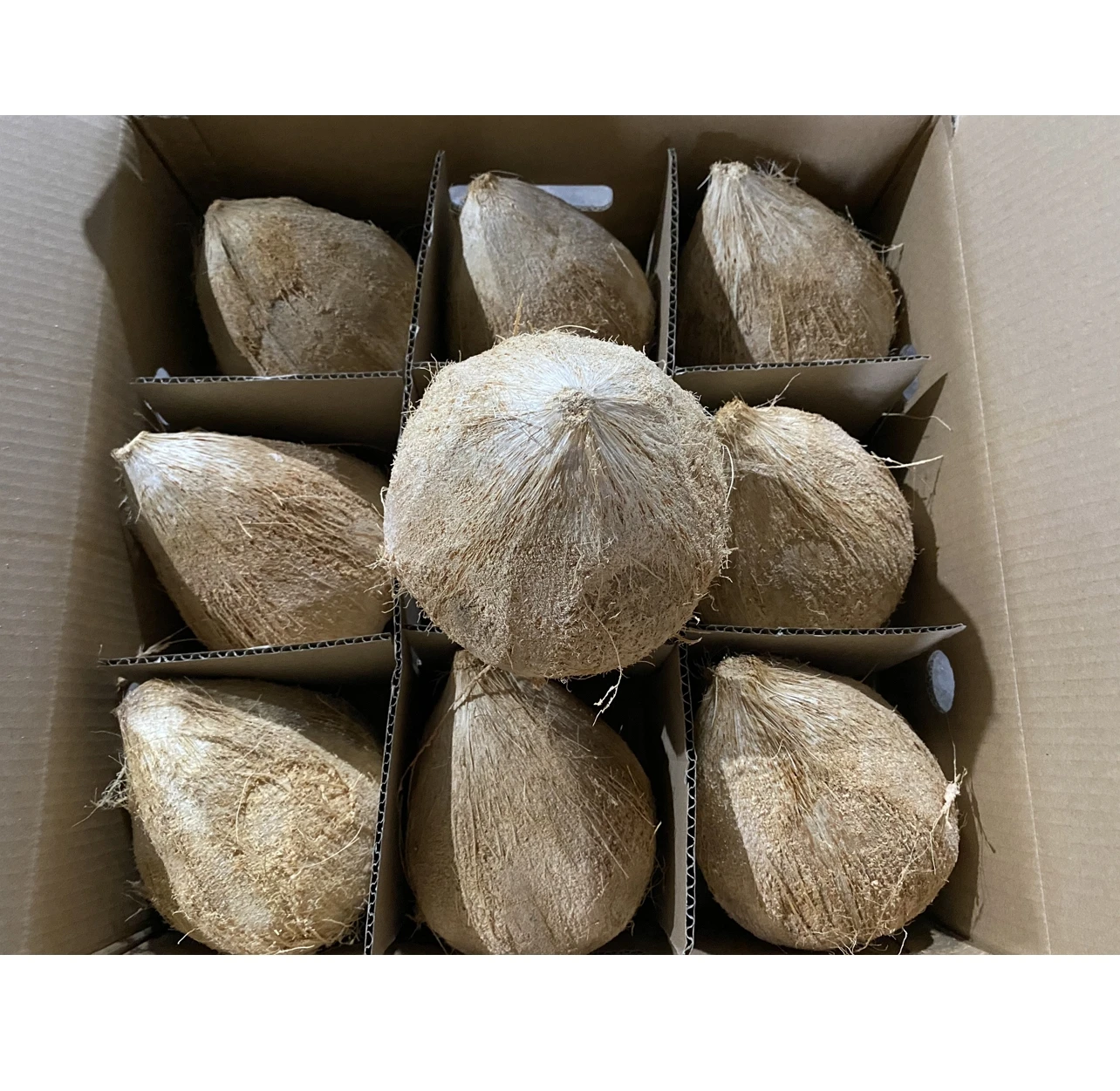 Высшее качество молодой кокос свежий Вьетнам экспорт 100% свежие фрукты Лучшая цена высокое натуральные вкусные напитки продукт