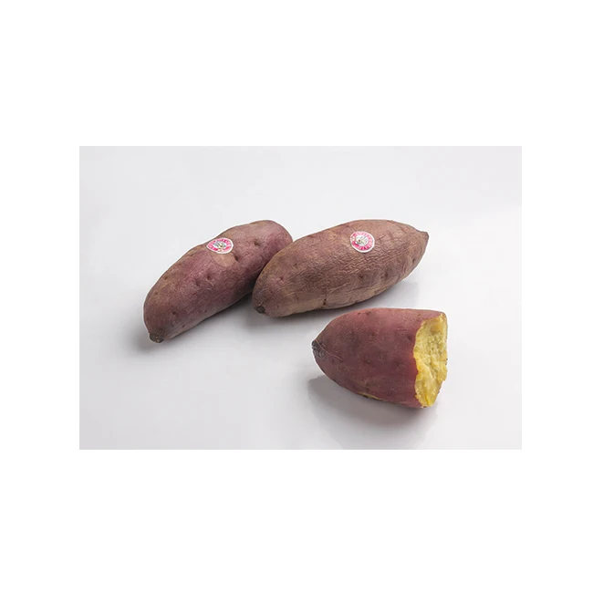 
Japanese Sweet Potato Delicious from Orgenic Farm Premium Quality for 100% Export 