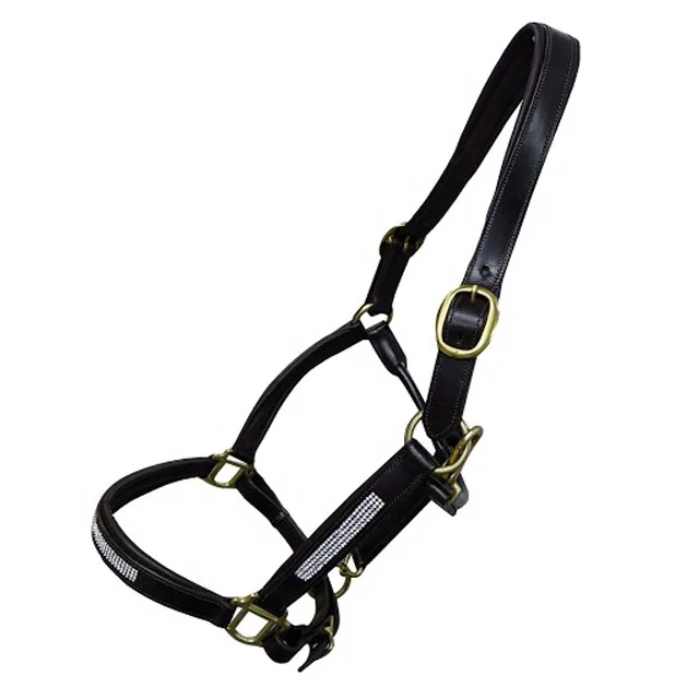 Anatomic Horse Leather Halter.