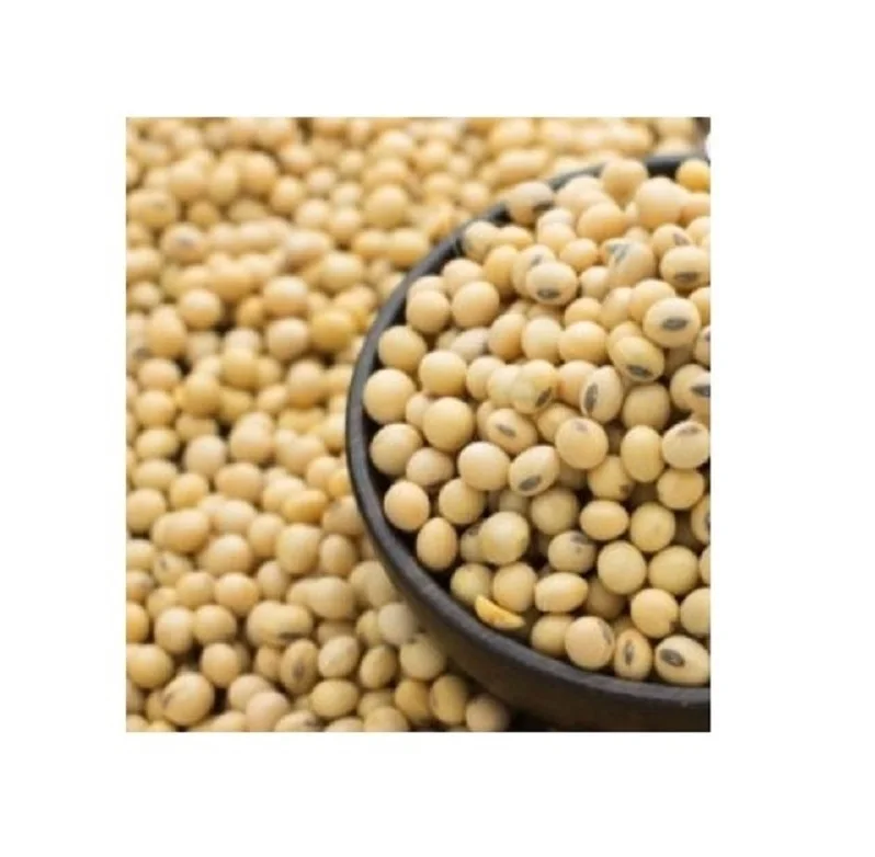 High Quality Wholesale High Quality Based in USA Non-GMO Wholesale Fresh SOYBEAN High Quality Ready to Ship