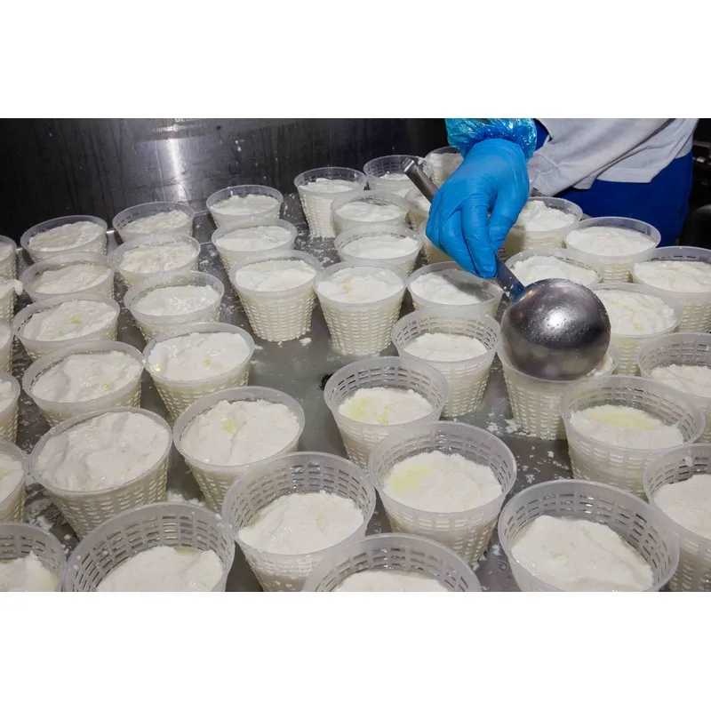 High Quality Italian CACIOTTINA cheese 0.4kg for export