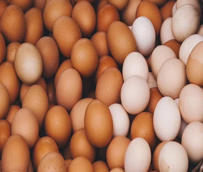 Свежие куриные яйца доступны для продажи по низкой