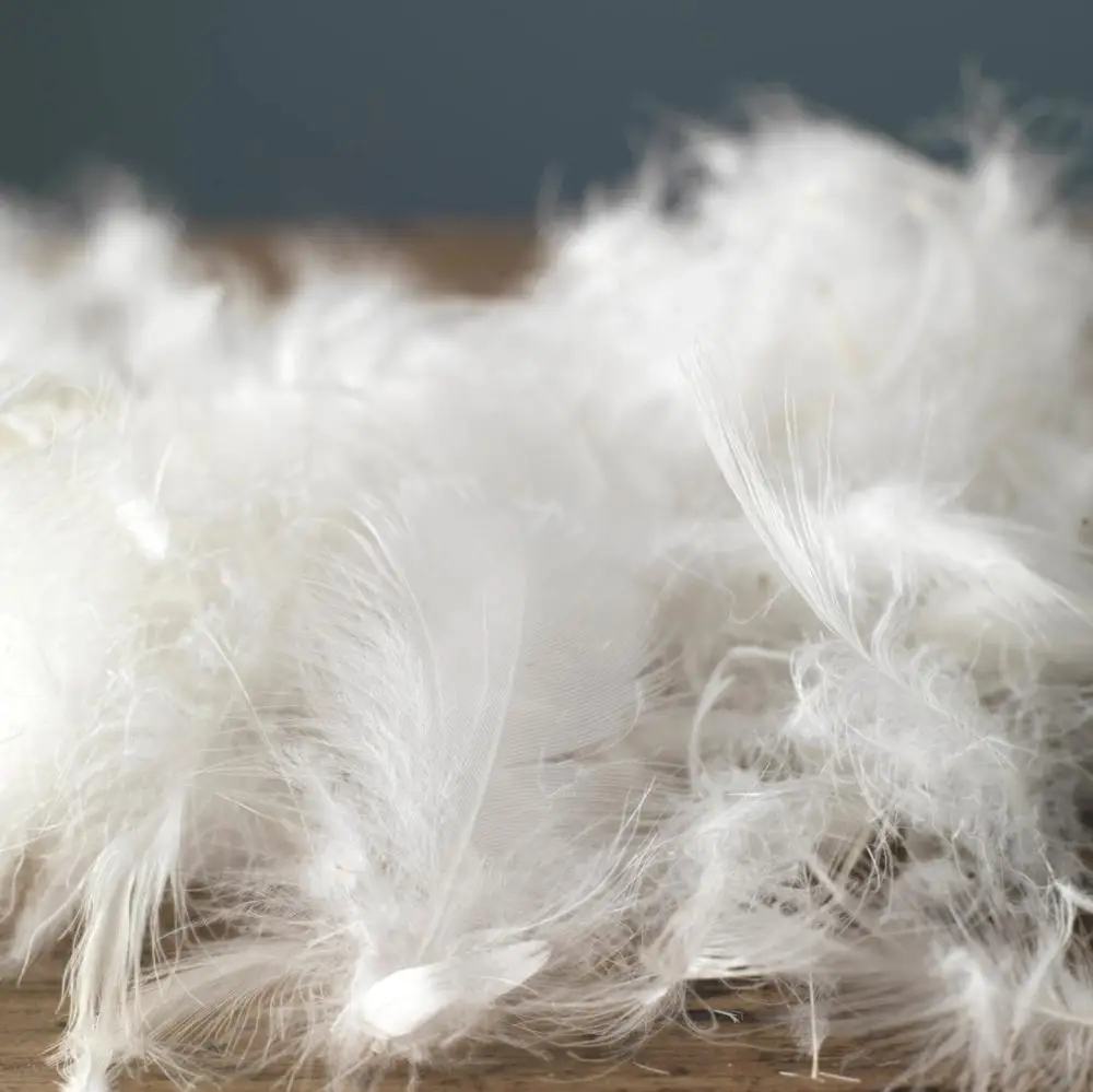 Best quality Vietnam  whole sale washed white duck/ goose down feather price  2 - 8 cm